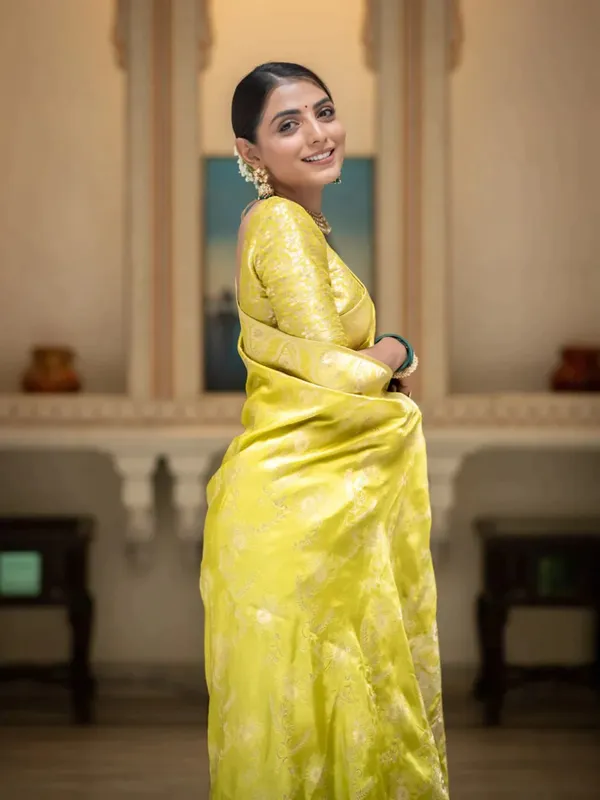 Woven_Kanjivaram_,_Banarasi_Jacquard_Saree