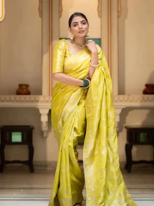 Woven_Kanjivaram_,_Banarasi_Jacquard_Saree