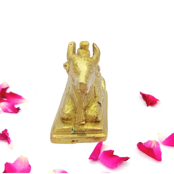 Brass_Nandi_Ji_Murti_Idol_For_Your_Home_Puja_Pooja_Room_Golden_(_6_X_5.5_X_3_Cm_)