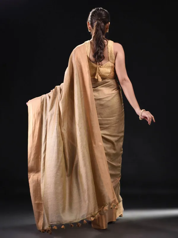 Brown_Bhaglpuri_Munga_Blend_Handloom_Tussar_Saree_with_Blouse_Piece