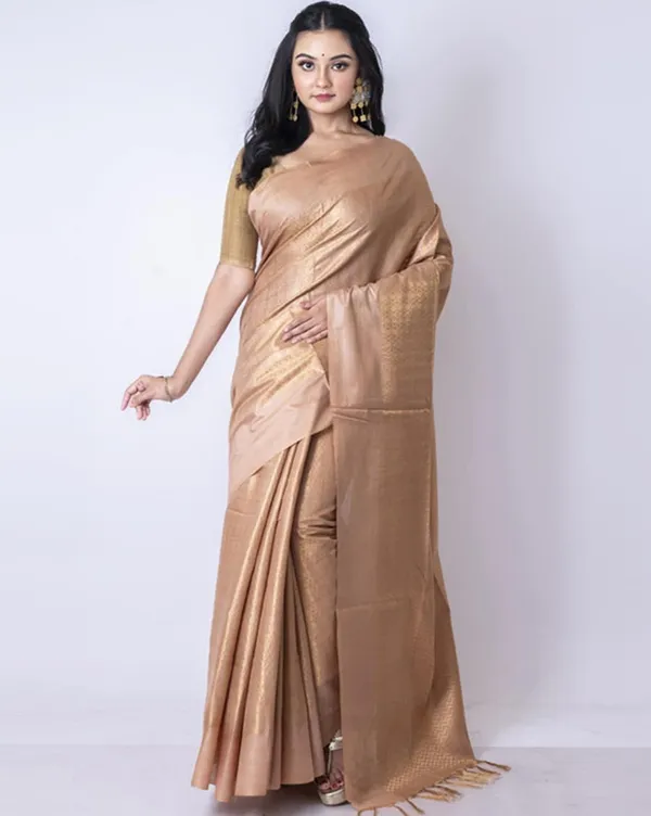 Cotton_Munga_Silk_Zari_Weaving_Designer_Handloom_Saree_with_Mixed_Pattern_(Brown)