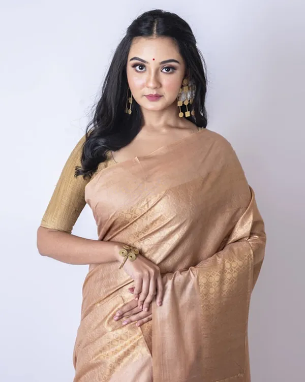 Cotton_Munga_Silk_Zari_Weaving_Designer_Handloom_Saree_with_Mixed_Pattern_(Brown)