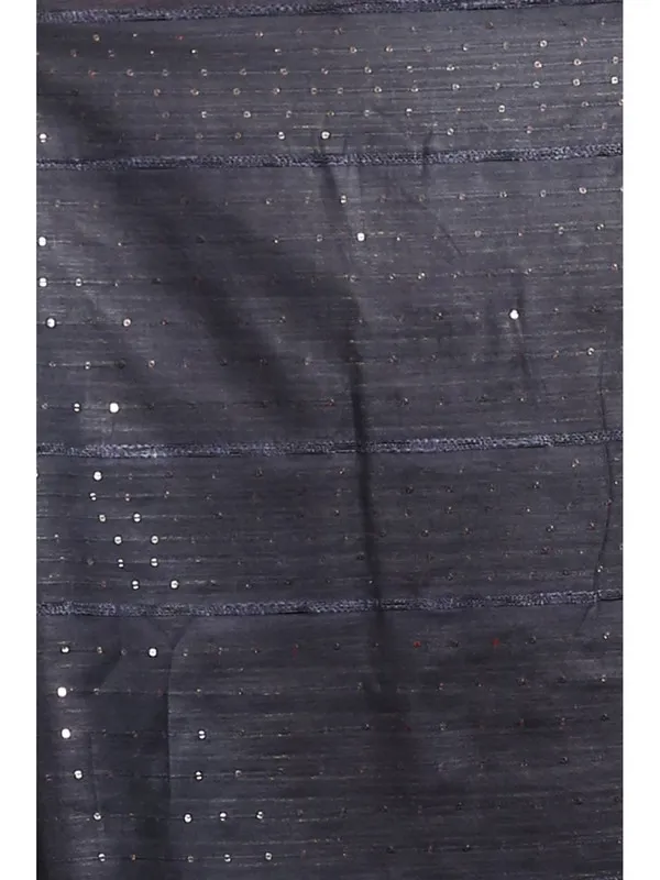 Handloom_Cotton_Silk_Striped_Sequin_Pallu_Bhagalpuri_Saree_(Black)