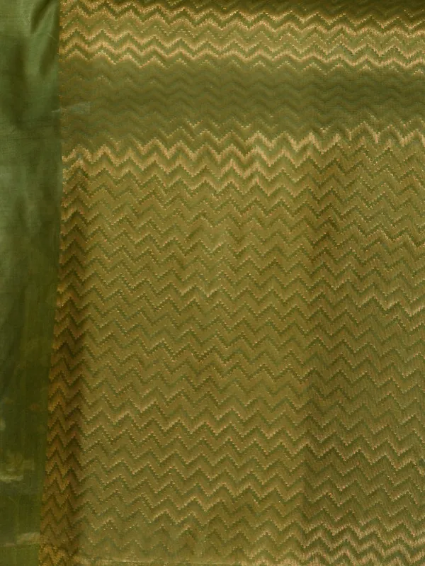 Women's_Cotton_Tissue_Silk_Bhagalpuri_Designer_Handloom_Weaving_Saree_(Avocado_Green)