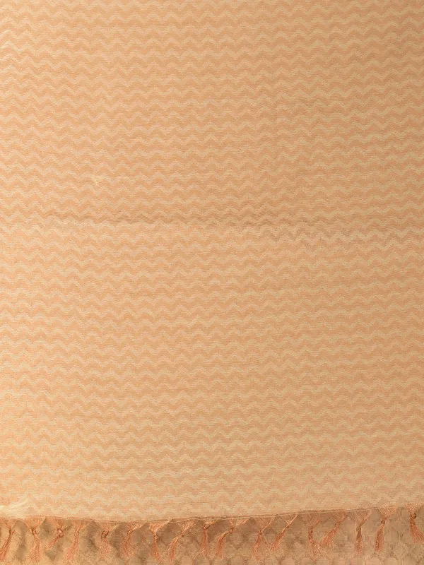 Cotton_Tissue_Silk_Geometric_Pattern_Designer_Saree_(Ecru_Beige)