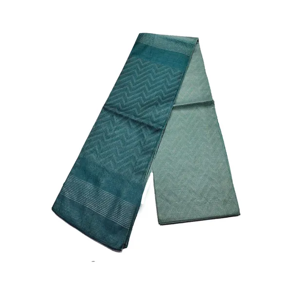 Handloom_Semi_Tussar_Silk_Two_Dye_Bhagalpuri_Saree_for_women's_with_Striped_Pallu_(12504_Moonstone_Cyan_&_Sarke_Green)