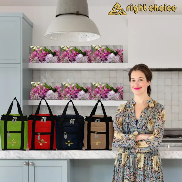 Combo_4_Lunch_Tiffin_Bags_School_Kida_And_Waterproof_Lunch_Bag_(Red,_Green,_Black,_Beige,_10_L)