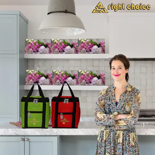 Combo_2_Offer_Lunch_Bags_Branded_Premium_Quality_Lunch_Bag_(Red,_Green,_4_L)