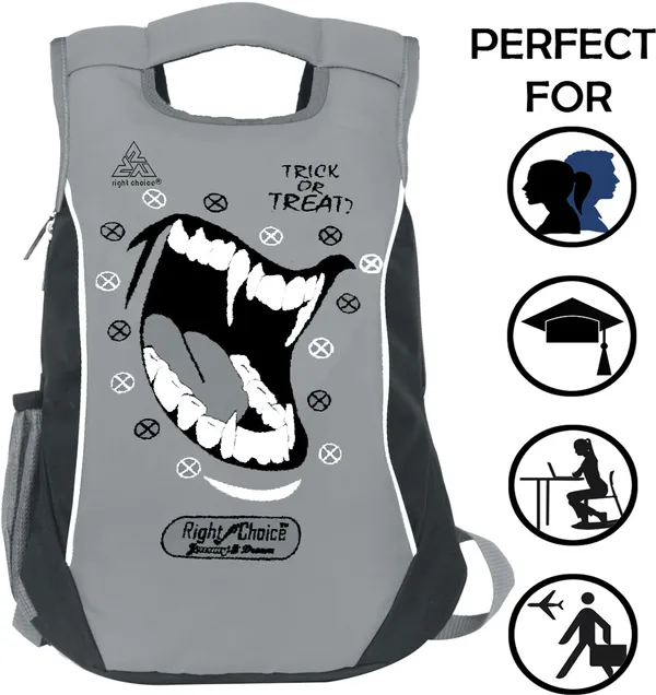 Pack_Of_2_Combo_Bag_Office/School/College/Casual_Backpack_Boy_&_Girl_25_L_Backpack_(Grey)