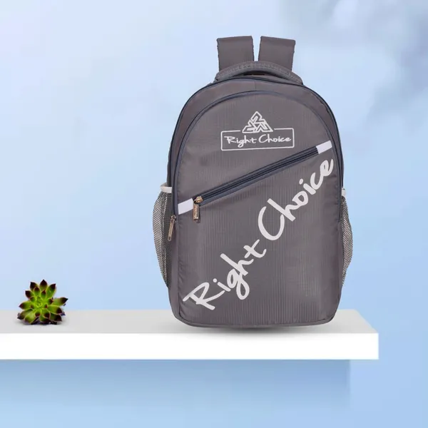 Daily_Use_Unisex_Office/School/College_Laptop_Backpack_2277_45_L_Laptop_Backpack_(Grey)