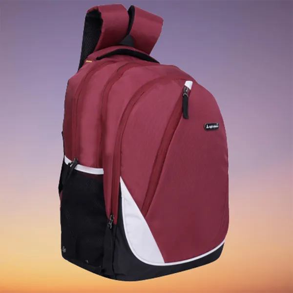 Standard_Size_30_L_Office_College_Travel_Bag_For_Men_&_Women_Water_Resistance_30_L_Laptop_Backpack_(Maroon)