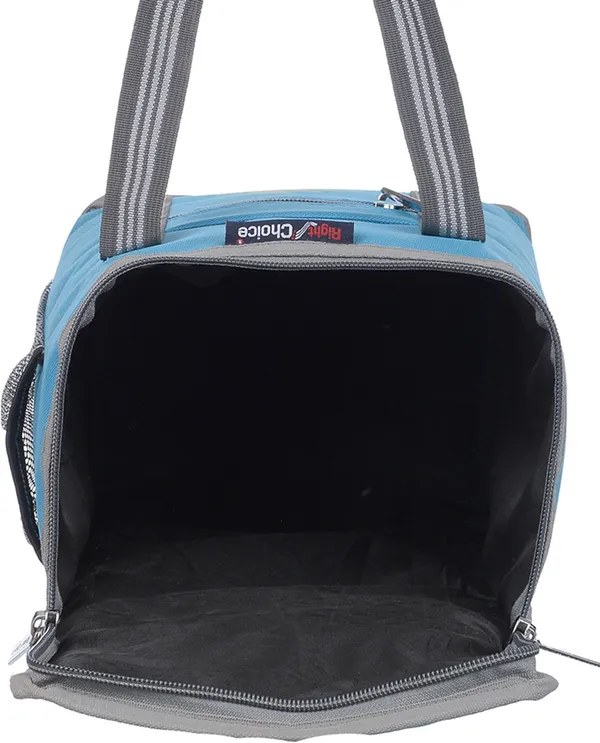 Office_Tiffin_Bag_For_All_Men_Women_Boys_&_Girls_Stylish_Lunchbag_Handbag_Sky_Blue_Grey_(3008)_Waterproof_Lunch_Bag_(Light_Blue,_10_L)