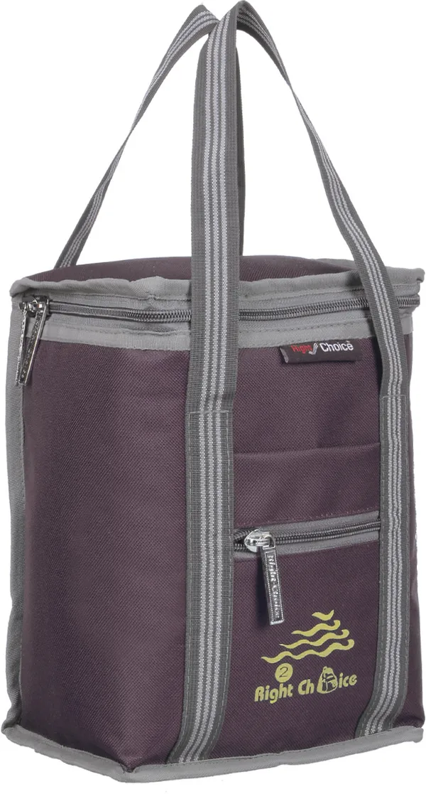 Office_Tiffin_Bag_For_All_Men_Women_Boys_&_Girls_Stylish_Lunchbag_Handbag_Purole_Brown_Grey_(3010)_Waterproof_Lunch_Bag_(Brown,_10_L)