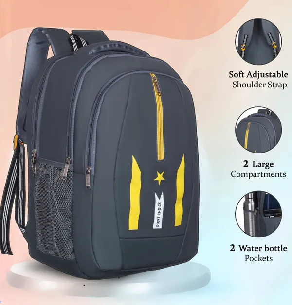 New_Daily_Use_Large45Lunisex_Office/School/College_Laptop_Backpack_Bags(D-Brown_45_L_Backpack_(Purple)