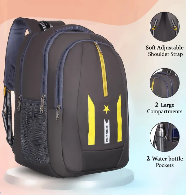 New_Daily_Use_Large45Lunisex_Office/School/College_Laptop_Backpack_Bags(D-Gray2_45_L_Backpack_(Grey)