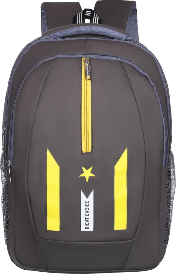 New_Daily_Use_Large45Lunisex_Office/School/College_Laptop_Backpack_Bags(D-Gray2_45_L_Backpack_(Grey)