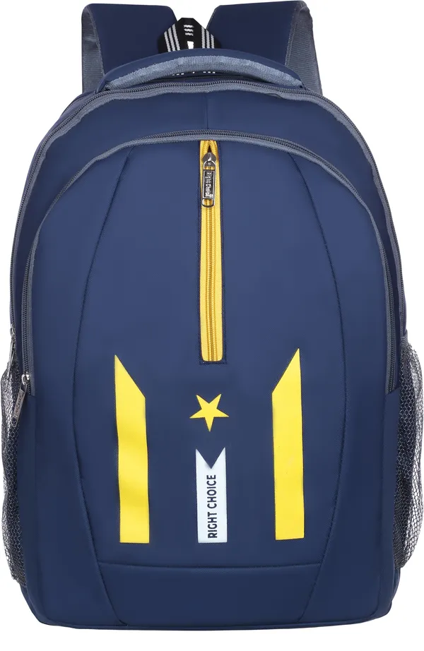 New_Daily_Use_Large45Lunisex_Office/School/College_Laptop_Backpack_Bags(N_Blue2_45_L_Backpack_(Blue)
