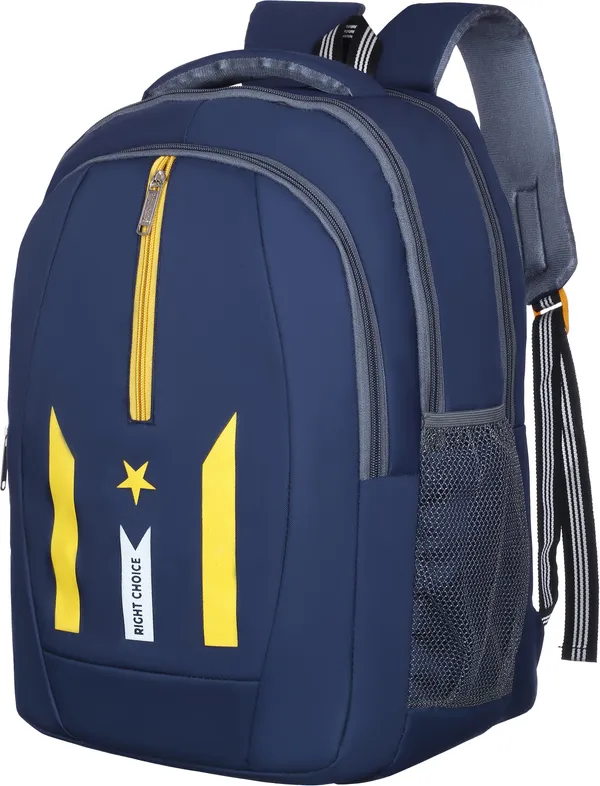 New_Daily_Use_Large45Lunisex_Office/School/College_Laptop_Backpack_Bags(N_Blue2_45_L_Backpack_(Blue)