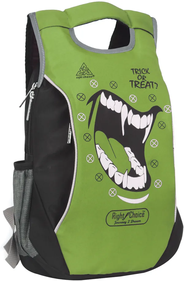 New_Latest_Stylish_Tuff_Quality_Causal_School_College_Bag_Boy_&_Girl_10_L_Backpack_(Green)