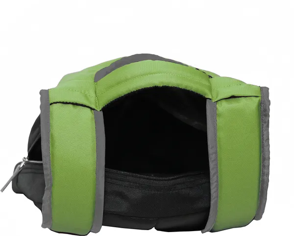 New_Latest_Stylish_Tuff_Quality_Causal_School_College_Bag_Boy_&_Girl_10_L_Backpack_(Green)