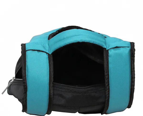 Stylish_Look_Geniouse_Bag_For_School_College_And_Causal_S_10_L_Backpack_(Blue)
