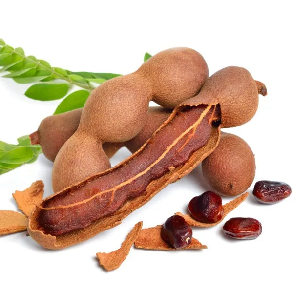 All_Time_Sweet_Tamarind_Plant_(1.5-3_Feet_Height_Pack_Of_1)