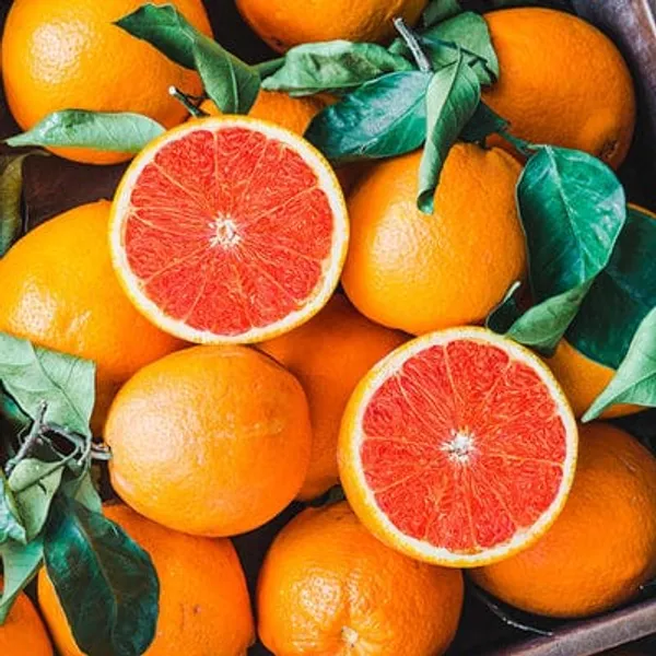 Hybrid_Cara_Cara_Navel_Orange_|_Grafted_Plant