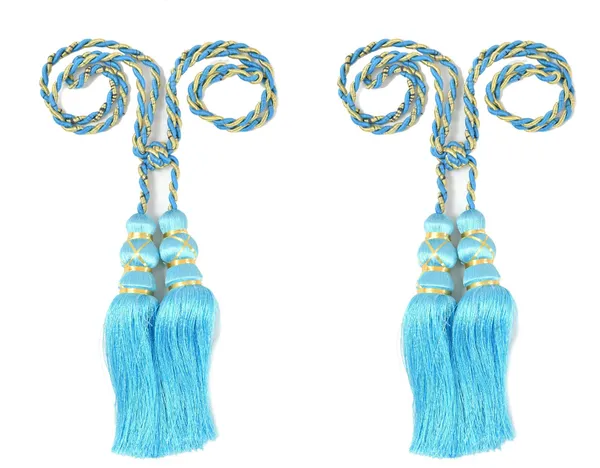 Aqua_Blue_Aqua_Blue_Curtain_Tassels/Tie-Backs_(Pack_of_2)