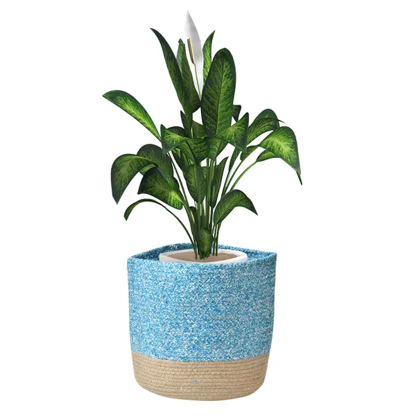 Blue_Braided_Cotton_Baskets_|_Storage_Bins_Organizer_|_Laundry,_Toys_&_Planter_Basket-_Set_of_2_(10,_6_Inch)_-_Aqua_Blue