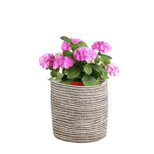 Brown_Braided_Cotton_Baskets_|_Storage_Bins_Organizer_|_Laundry,_Toys_&_Planter_Basket-_Set_of_2_(8,_6_Inch)_-_Brown