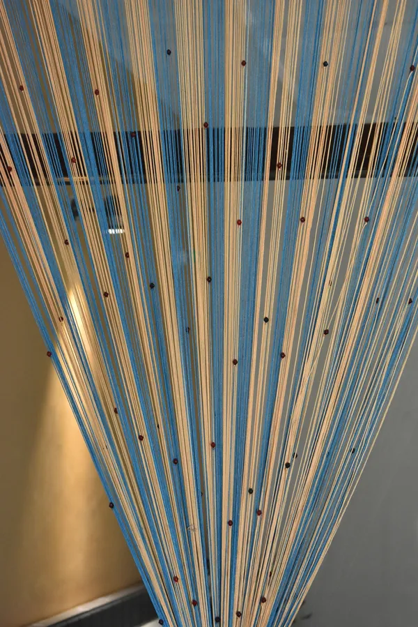 Blue_Polyester_Transparent_Sheer_Threads_Curtain_for_Door,_Long_Door
