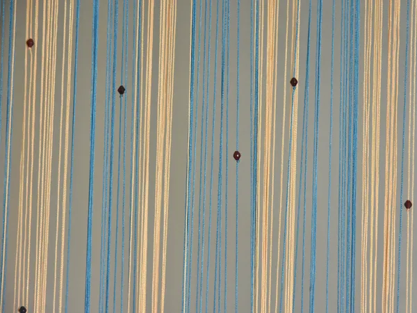 Blue_Polyester_Transparent_Sheer_Threads_Curtain_for_Door,_Long_Door