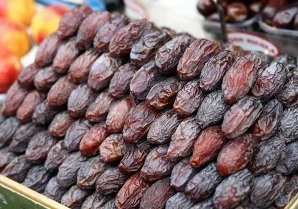Arabian_hybrid_date_plant_(Pack_Of_1)