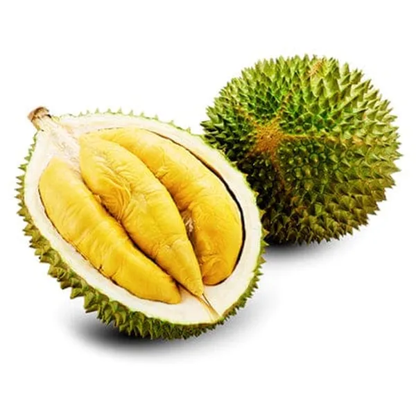 Durian_Fruit_Plant