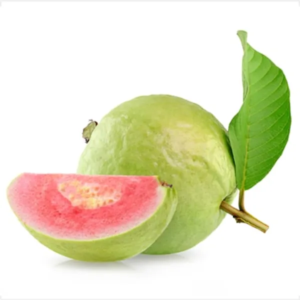 Hybrid_Red_Diamond_Guava_Plant_(1.5-3_Feet_Height_Pack_Of_1)