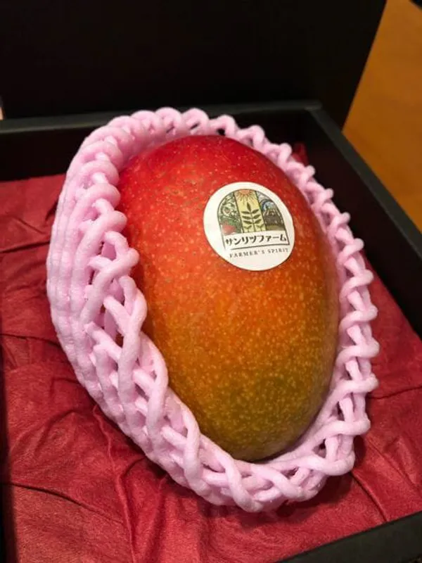 World's_most_expensive_mango_variety_'Miyazaki_Mango_Plant'_|_Hybrid_And_Grafted_Plant_|_Pack_Of_1