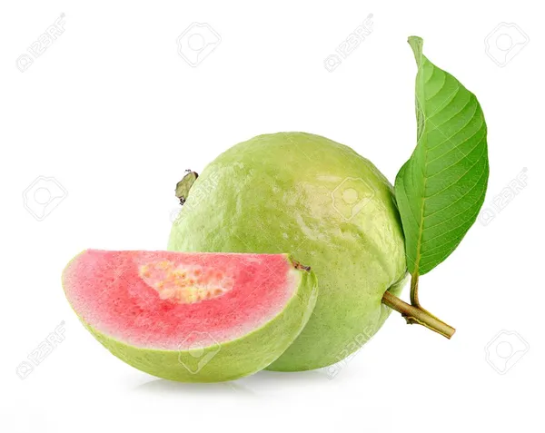 Thai_Pink_Guava_Plant_(1.5-3_Feet_Height_Pack_Of_1)