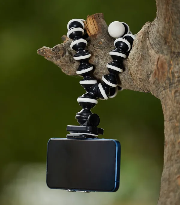 CLGD_Gorilla_Tripod/Mini_and_Mobile_Stand_Combo