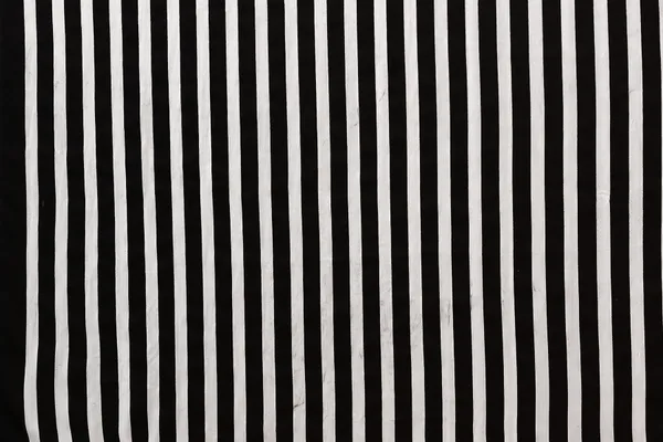 Striped,_Printed_Daily_Wear_Georgette_Saree_(Black,_White)