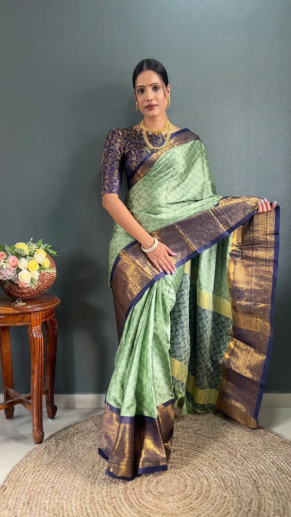 Pista_&_Blue_Ready_To_Wear_Pistablue_Banarasi_Silk_Saree_With_Border
