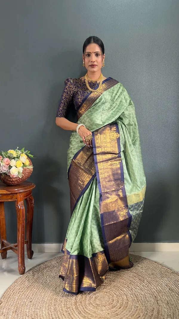 Pista_&_Blue_Ready_To_Wear_Pistablue_Banarasi_Silk_Saree_With_Border