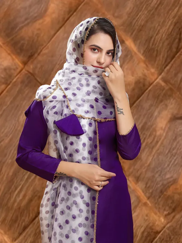 Eshanay_Fashion_Miss_Lady_Fashion_Organza_Printed_Women_Dupatta_with_pent