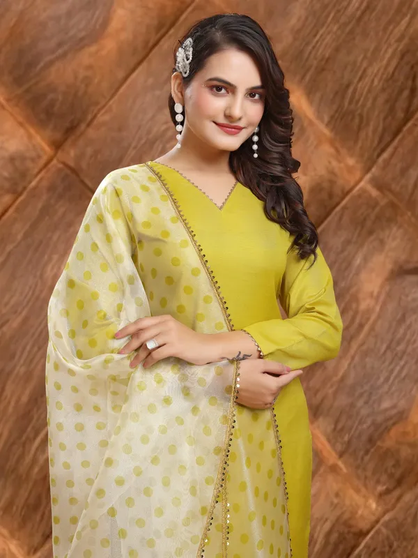 Eshanay_Fashion_Miss_Lady_Fashion_Organza_Printed_Women_Dupatta_with_pent