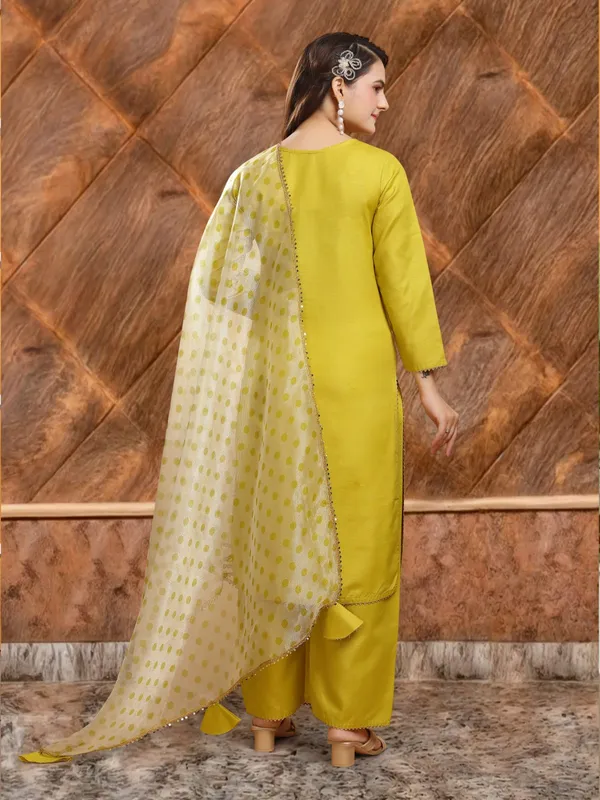Eshanay_Fashion_Miss_Lady_Fashion_Organza_Printed_Women_Dupatta_with_pent