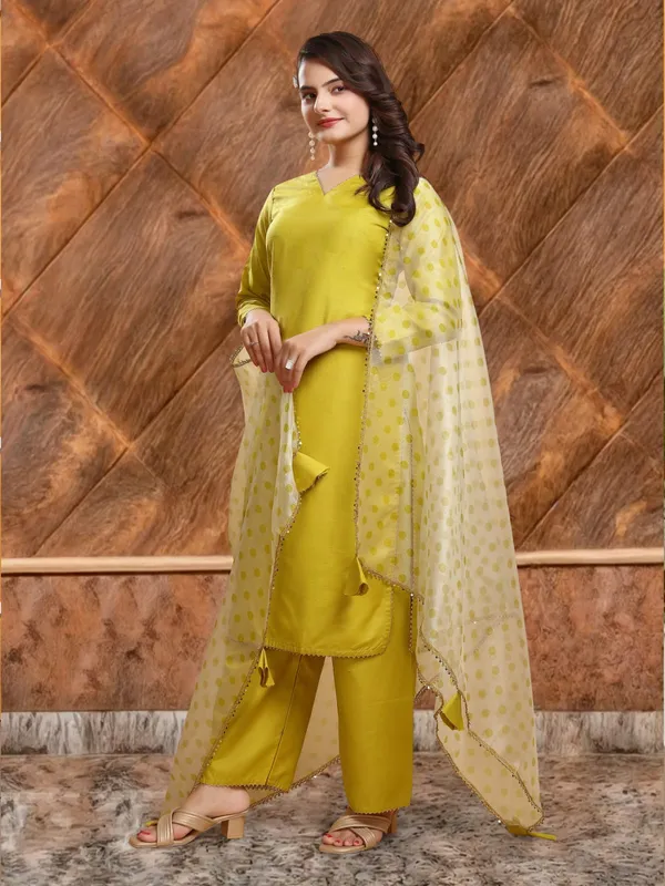 Eshanay_Fashion_Miss_Lady_Fashion_Organza_Printed_Women_Dupatta_with_pent