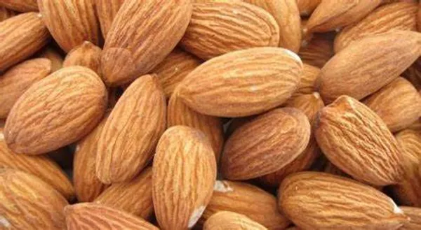 Almonds_Fruit_Grafted_Plant