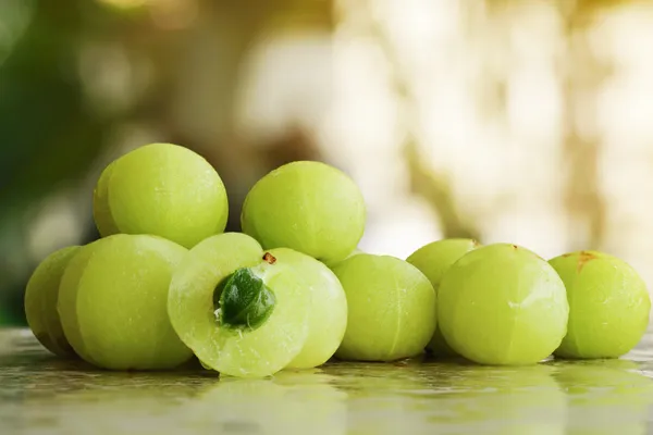 Hybrid_Green_Amla_Grafted_lant