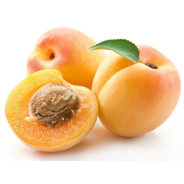 Apricot_Grafted_.5-3.5_Ft_Hybrid_Fruit_Plant