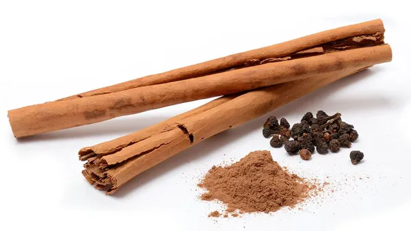 Cinnamon_|Dalchini_Plant__Healthy_Plant_For_Sweet_Home_Garden
