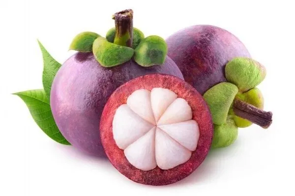 Thai_Purple_Mangosteen_Garcinia_Mangostana__Fruit_Tree_Plant